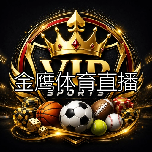 金鹰体育直播